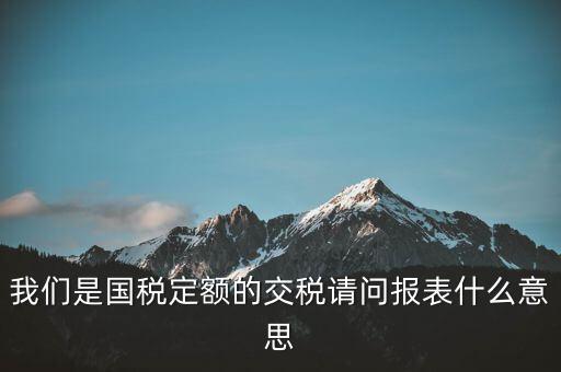 我們是國(guó)稅定額的交稅請(qǐng)問(wèn)報(bào)表什么意思