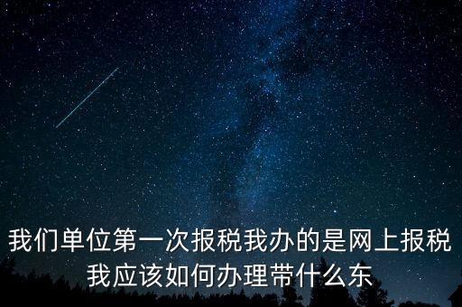 我們單位第一次報稅我辦的是網(wǎng)上報稅我應該如何辦理帶什么東