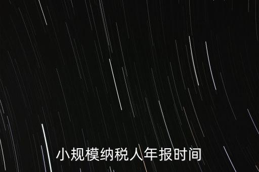 納稅申報年報什么時候，小規(guī)模納稅人年報時間