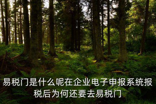 易稅門是什么呢在企業(yè)電子申報(bào)系統(tǒng)報(bào)稅后為何還要去易稅門