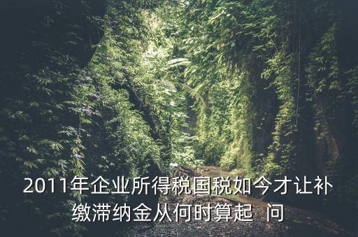 納稅滯納金什么時候算，企業(yè)所得稅滯納金計算從何時開始計算