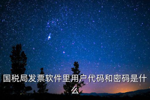 登錄稅務(wù)開票密碼是什么，國稅第一次網(wǎng)上申報的登陸密碼是什么