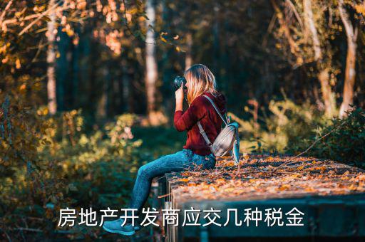 房地產(chǎn)公司交什么稅，房地產(chǎn)公司都要交什么稅