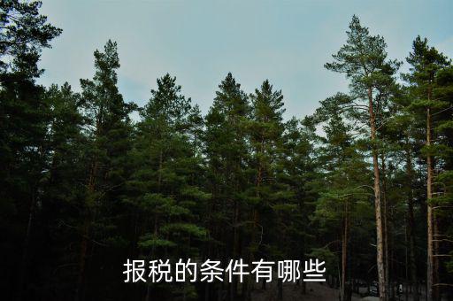 集團公司的申報納稅有什么要求，公司申請申請一般納稅人需要條件