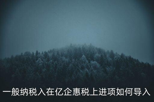 一般納稅入在億企惠稅上進(jìn)項(xiàng)如何導(dǎo)入