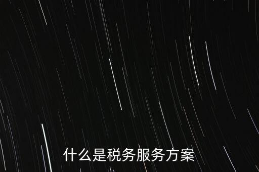 什么是稅務(wù)服務(wù)方案