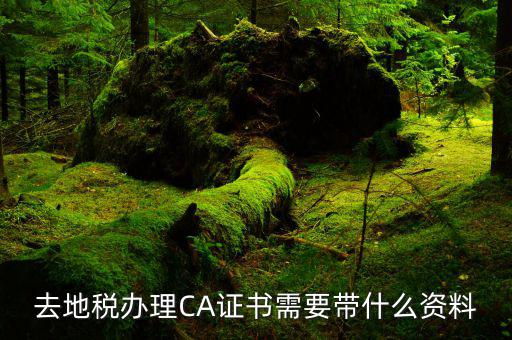 地稅局ca證書是什么，去地稅辦理CA證書需要帶什么資料