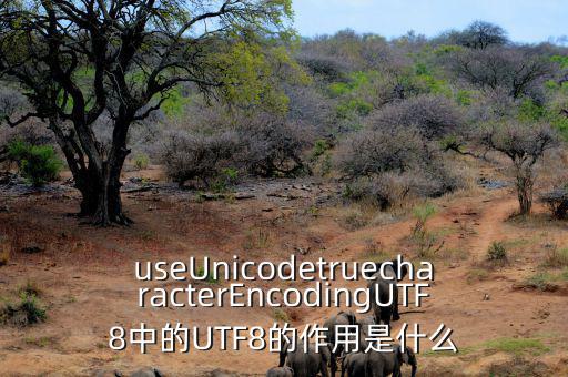 useUnicodetruecharacterEncodingUTF8中的UTF8的作用是什么