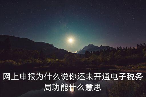 電子稅務(wù)局是干什么，企業(yè)金稅盤系統(tǒng)用來開票抄稅報稅用那登錄國稅地稅局網(wǎng)站是干嘛的