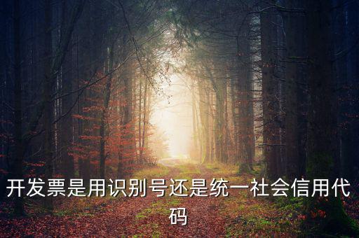 發(fā)票填寫統(tǒng)一社會(huì)代碼是什么，開(kāi)發(fā)票要的稅號(hào)是統(tǒng)一社會(huì)代碼證號(hào)嗎