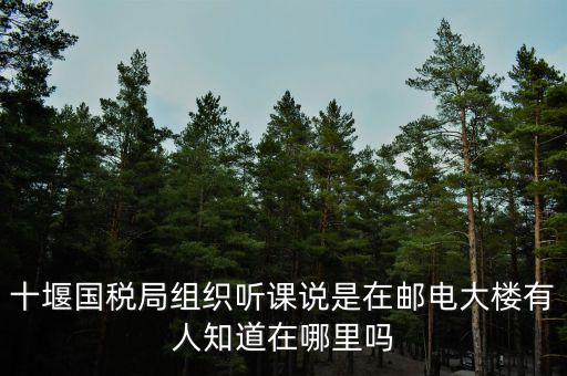 十堰國(guó)稅六辦指什么地方，十堰國(guó)稅局組織聽課說(shuō)是在郵電大樓有人知道在哪里嗎