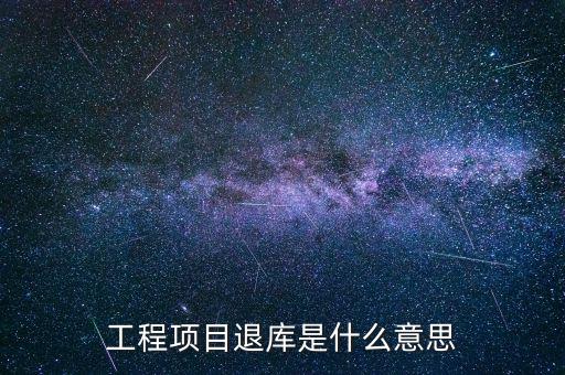 電子退庫是什么意思，工程項目退庫是什么意思