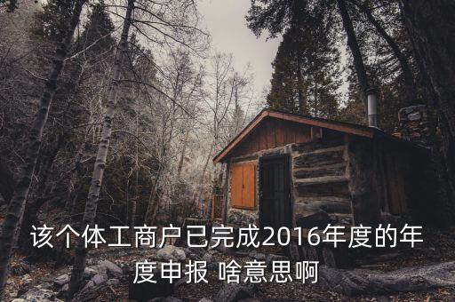 個體戶申報是什么意思，該個體工商戶已完成2016年度的年度申報 啥意思啊