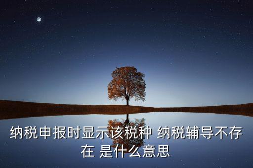 納稅申報時顯示該稅種 納稅輔導(dǎo)不存在 是什么意思