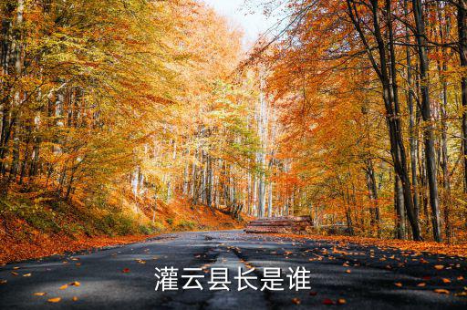 灌云國(guó)稅局局長(zhǎng)叫什么，國(guó)家稅務(wù)局局長(zhǎng)叫什么