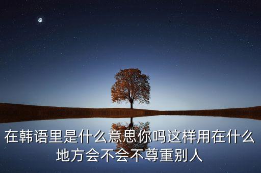 在韓語里是什么意思你嗎這樣用在什么地方會不會不尊重別人