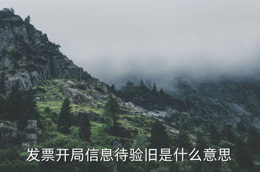 什么叫驗(yàn)舊發(fā)票，發(fā)票驗(yàn)舊是什么意思