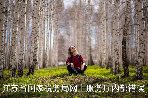 江蘇省國家稅務(wù)局網(wǎng)上服務(wù)廳內(nèi)部錯誤