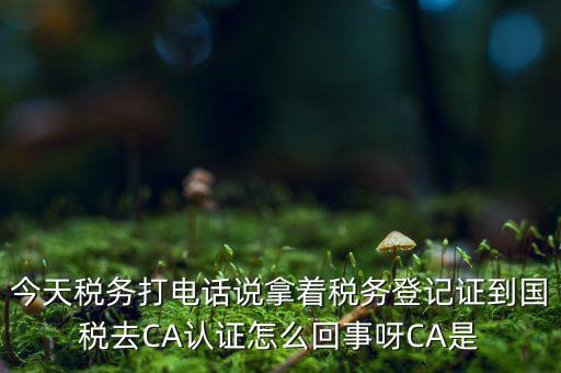 稅務(wù)局ca證書是什么，今天稅務(wù)打電話說拿著稅務(wù)登記證到國(guó)稅去CA認(rèn)證怎么回事呀CA是