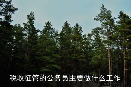 稅收管理員干什么的，稅收征管的公務(wù)員主要做什么工作