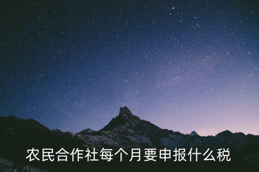 農(nóng)民合作社每個月要申報什么稅