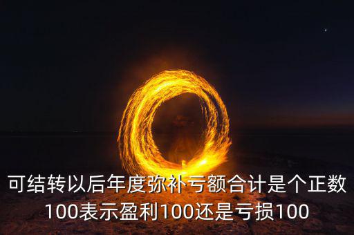 可結(jié)轉(zhuǎn)以后年度彌補虧額合計是個正數(shù)100表示盈利100還是虧損100