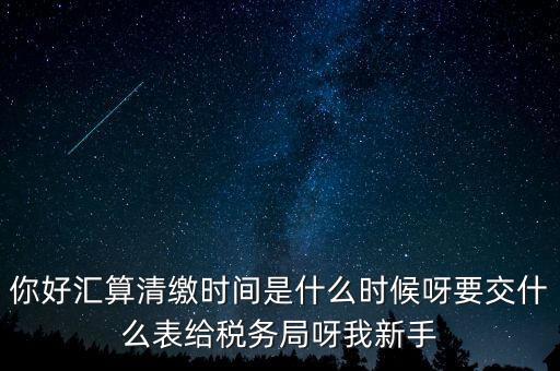 你好匯算清繳時間是什么時候呀要交什么表給稅務(wù)局呀我新手