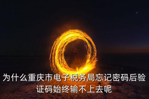 重慶電子稅務(wù)局什么時間開始，重慶渝北區(qū)地稅局就是一支路那個的作息時間是幾點(diǎn)到幾點(diǎn)啊