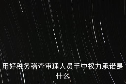 用好稅務稽查審理人員手中權力承諾是什么