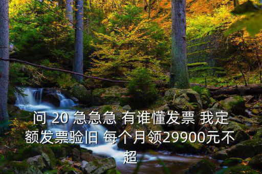 問 20 急急急 有誰懂發(fā)票 我定額發(fā)票驗舊 每個月領(lǐng)29900元不超