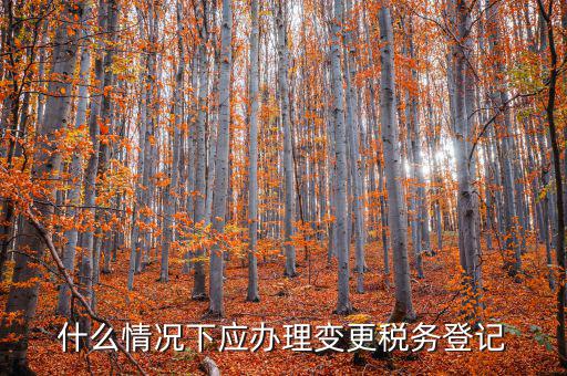 什么情況下應(yīng)辦理變更稅務(wù)登記