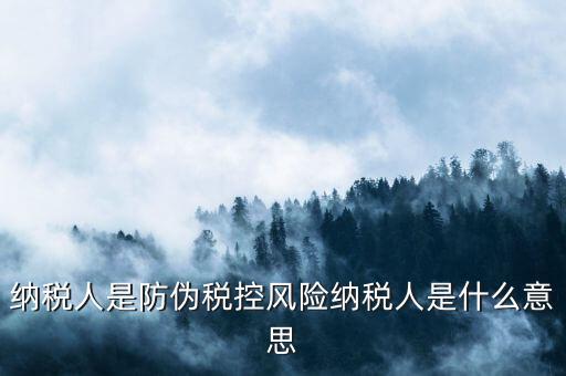 納稅人是防偽稅控風(fēng)險(xiǎn)納稅人是什么意思