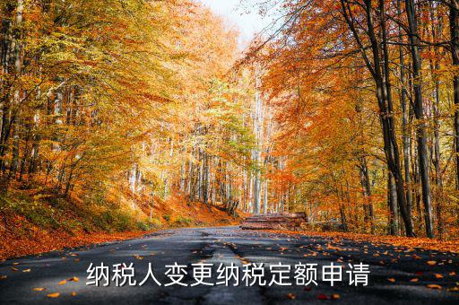 變更納稅定額什么意思，調(diào)整應(yīng)納稅所得額什么意思