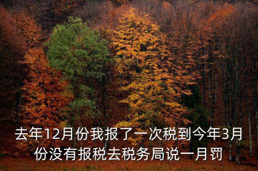 去年12月份我報了一次稅到今年3月份沒有報稅去稅務(wù)局說一月罰