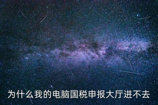 為什么我的電腦國稅申報(bào)大廳進(jìn)不去