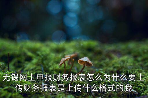 為什么要上傳報表，無錫網(wǎng)上申報財務(wù)報表怎么為什么要上傳財務(wù)報表是上傳什么格式