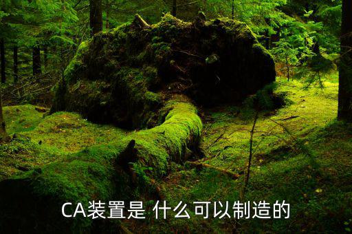 ca控件是什么，CA裝置是 什么可以制造的