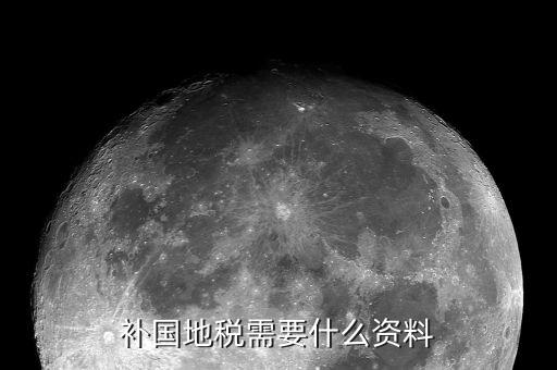 深圳國稅補報稅需要什么資料，補國地稅需要什么資料