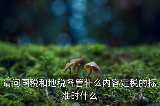 請問國稅和地稅各管什么內(nèi)容定稅的標(biāo)準(zhǔn)時什么