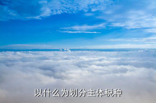 什么情況下認定稅種，確定稅種的主要依據(jù)是什么 a 納稅人 b 負稅人 c 課稅對象 d 稅率