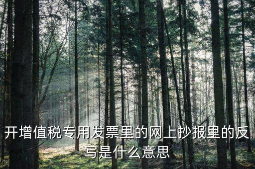 開增值稅專用發(fā)票里的網上抄報里的反寫是什么意思