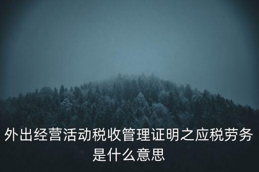 外出經(jīng)營活動稅收管理證明之應稅勞務是什么意思