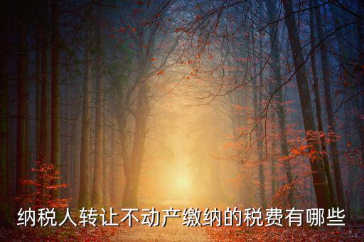 納稅人轉(zhuǎn)讓不動(dòng)產(chǎn)繳納的稅費(fèi)有哪些