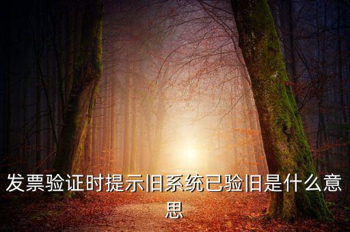 發(fā)票的驗舊時間是什么意思，發(fā)票驗證時提示舊系統(tǒng)已驗舊是什么意思