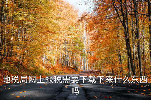 辦地稅都需要什么軟件，地稅網(wǎng)上申報軟件