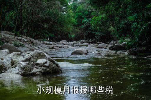 小規(guī)模納稅人季報什么，公司是小規(guī)模納稅人月報和季報時國稅和地稅各需報什么  搜