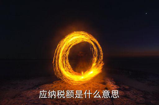 應(yīng)納稅額是什么意思