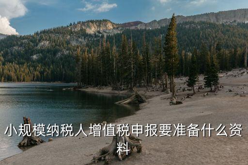 小規(guī)模納稅人增值稅申報要準(zhǔn)備什么資料