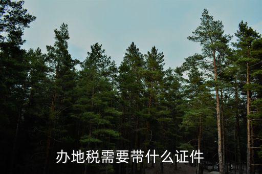 辦地稅需要帶什么證件