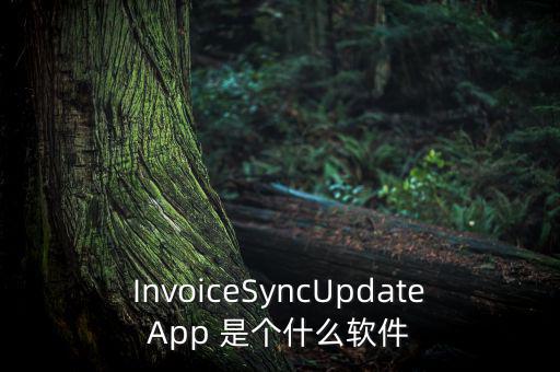 InvoiceSyncUpdateApp 是個什么軟件